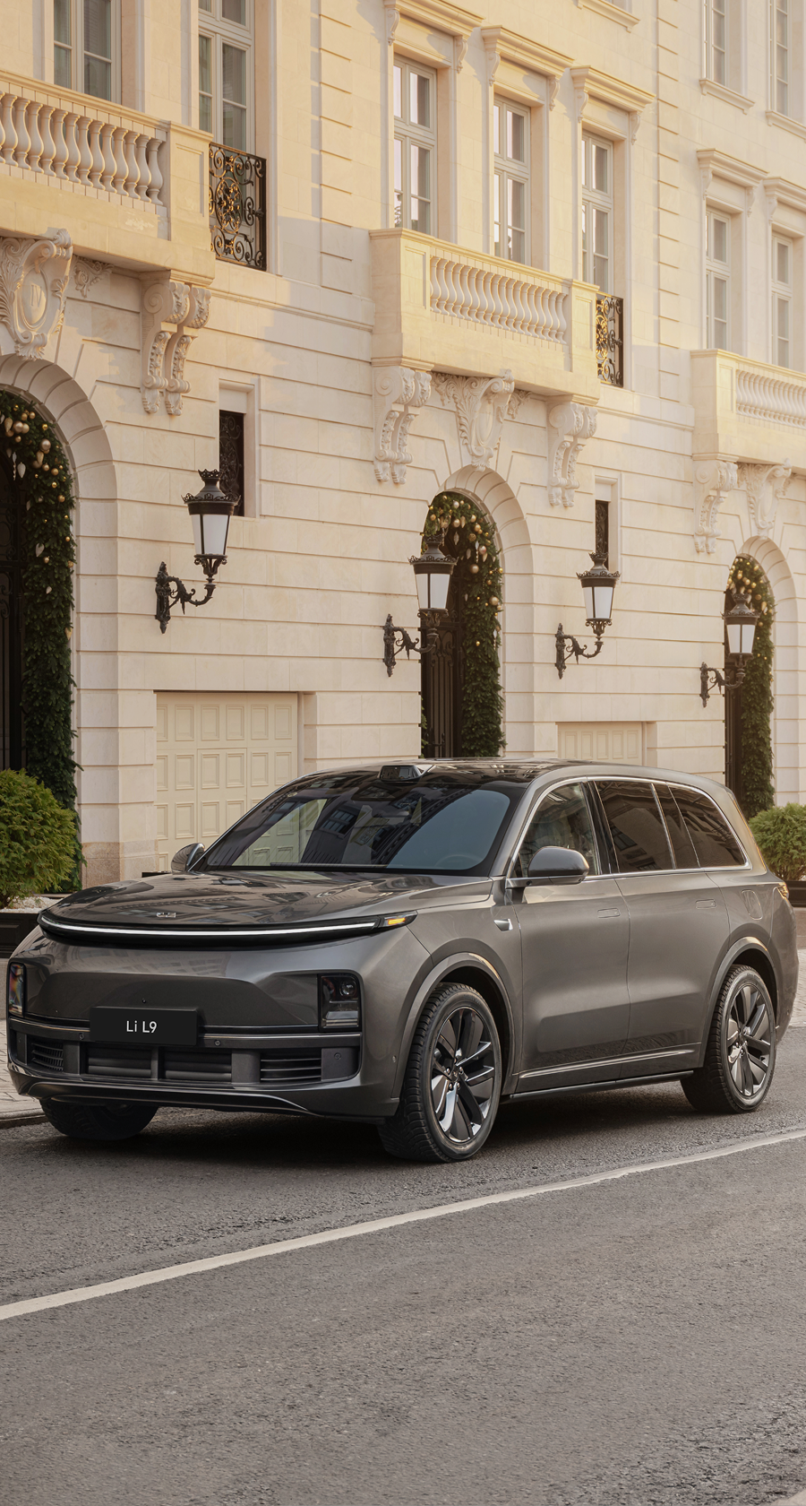 <H1>Ли Л9 / Li L9</H1>