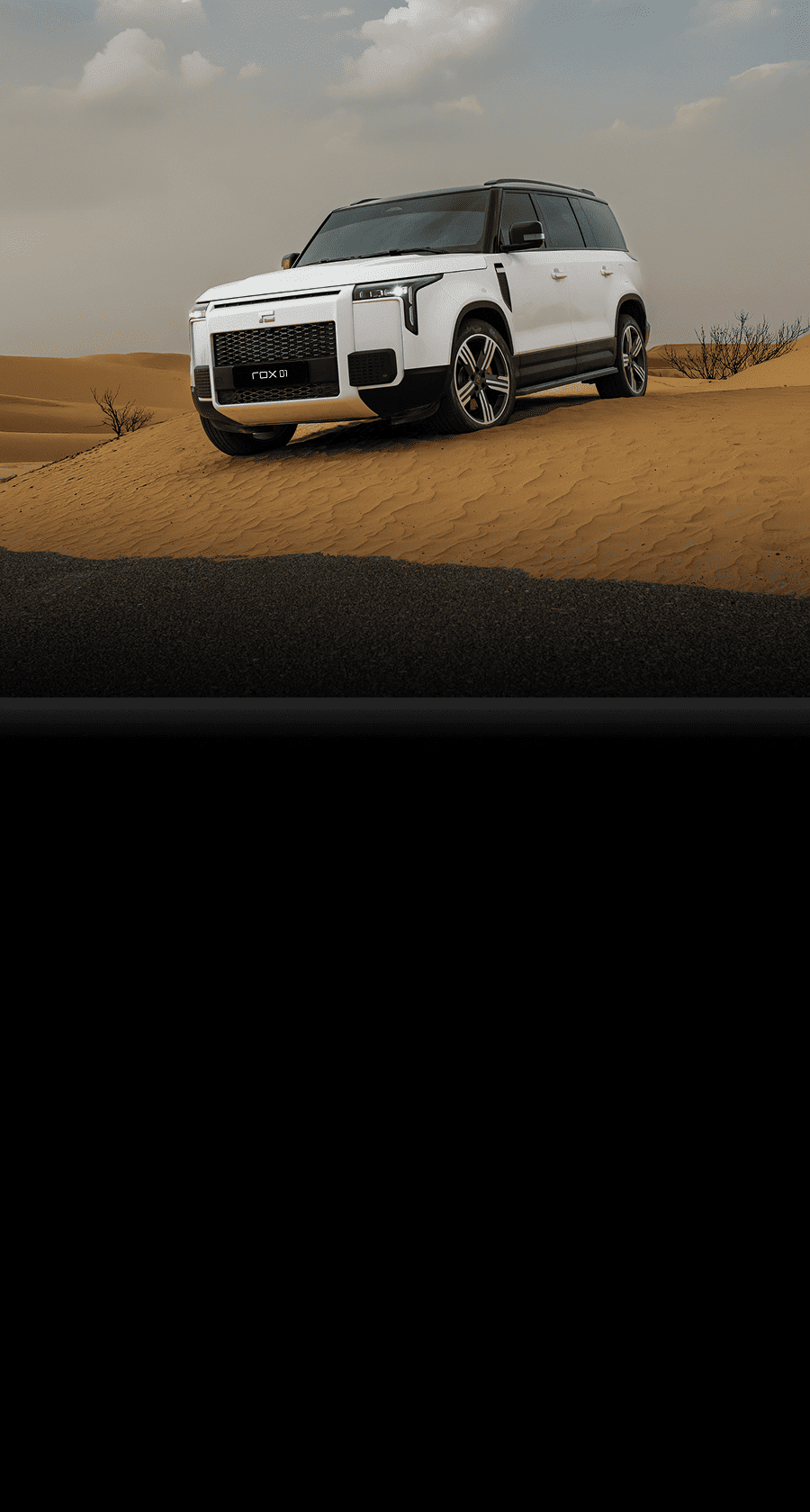 ROX 01 <br>ДИКО КРУТОЙ