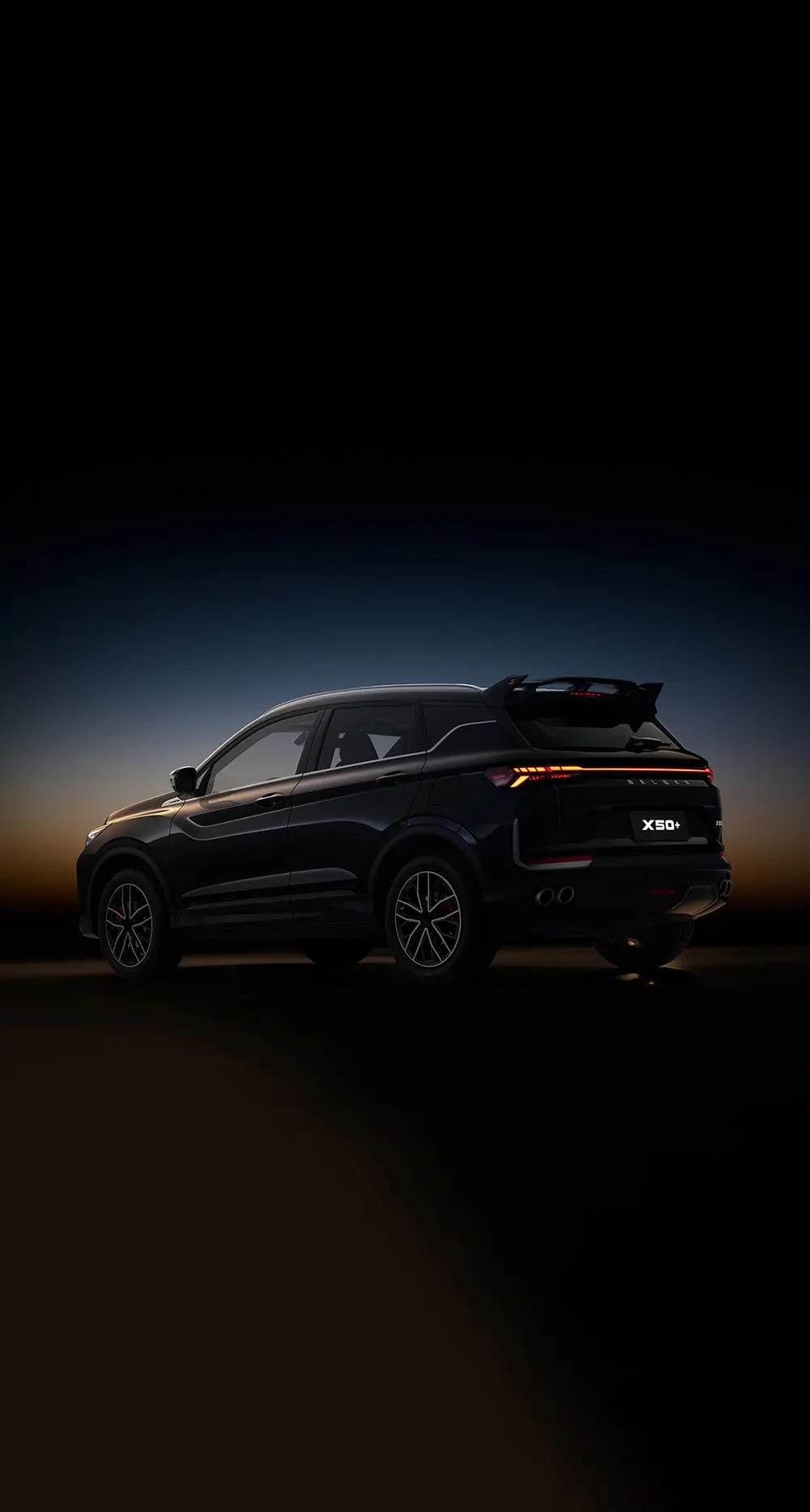 <div class="h5 cg-1">Специальная версия</div>