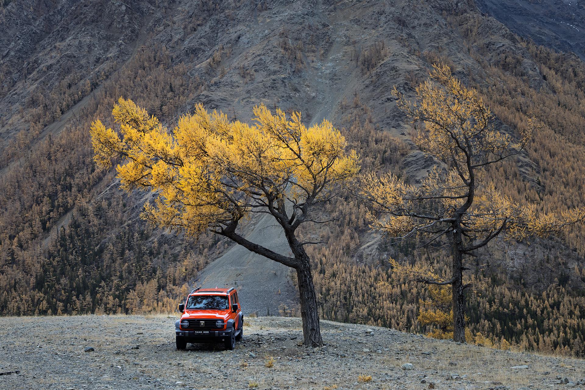 Замена масляного фильтра TANK