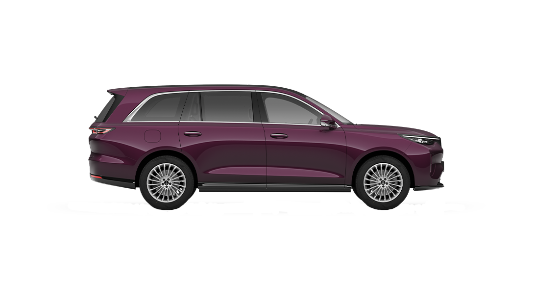 WEY V9X